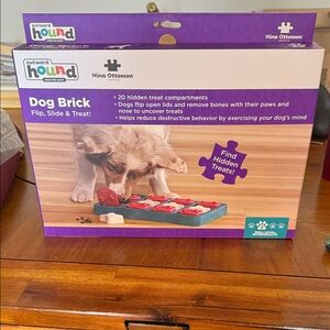 Outward Hound Dog Brick Puzzle Toy - Purple and Red